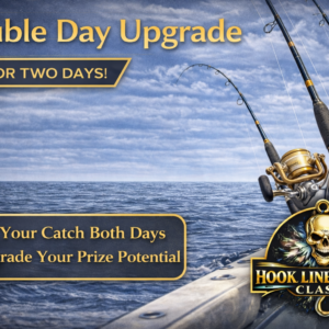Double Day Upgrade – Day 2 Entry